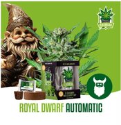 Wietzaadjes IGrowCan Royal Dwarf