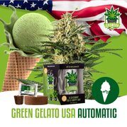 Wietzaadjes IGrowCan Green Gelato