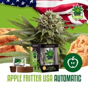 Wietzaadjes IGrowCan Apple Fritter