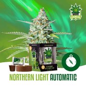 Wietzaadjes IGrowCan Northern light