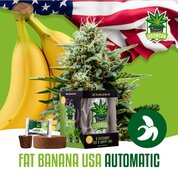 Wietzaadjes IGrowCan Fat Banana