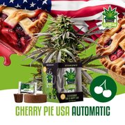 Wietzaadjes IGrowCan Cherry Pie